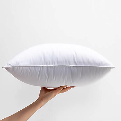 Lyweem 20 x 20 Throw Pillow Inserts Set of 2 Square Pillow Insert for Couch Large Lumbar Pillows