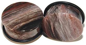 Intrepid Jewelry Single Flare Petrified Wood Plugs