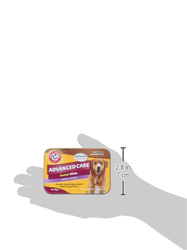 ARM & HAMMER FOR PETS TARTAR CONTROL DENTAL MINTS FOR DOGS | DOG DENTAL MINTS HELP REDUCE PLAQUE & TARTAR BUILDUP WITHOUT BRUSHING | BEEF FLAVOR, 40 COUNT