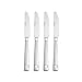 International Silver Dawson Frost Stainless Steel Flatware, 20-Piece Set, Service for 4