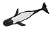 Safari Ltd. Pilot Whale Figurine - Lifelike 5.75