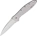 Kershaw Leek Pocket Knife (1660) 3-In. Sandvik 14C28N Blade and Stainless Steel Handle, Best Buy from Outdoor Gear Lab Includes Frame Lock, SpeedSafe Assisted Opening and Reversible Pocket Clip, 3-oz.