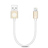 iPhone 6S Charger, iOrange-E Apple Certified 8 Pin 8-inch Short Lightning Cable USB Sync Charger Cord for iPhone 7 6 6S Plus 5S 5C 5, iPad Air, iPad Pro, iPad Mini 4, iPod 5 Nano 7, White