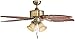 Honeywell Ceiling Fans Royal Palm, 52 Inch Tropical LED Ceiling Fan with Light, Pull Chain, Three Mounting Options, Hand Carved Solid Wood Blades - Model 50504-01 (Aged Brass)