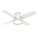 Hunter Fan 44 inch Contemporary Low Profile White Ceiling Fan with LED Light Kit and Remote Control (Renewed)