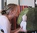 Squishable / Cthulhu Plush - 15