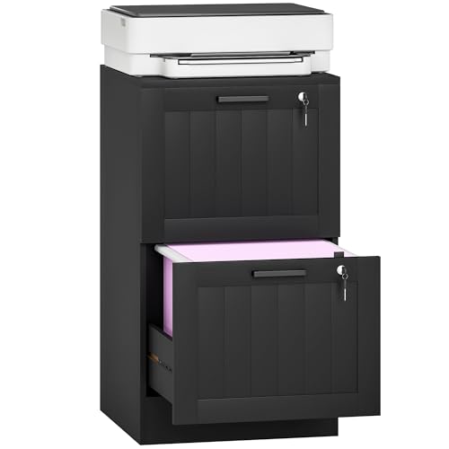 HOMCOM 2 Drawer File Cabinet with Lock, Vertical Filing Cabinet with Adjustable Hanging Bars for A4 and Letter Size File Folders, Printer Stand with Storage for Home Office, Black