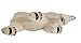 Safari Ltd Wildlife Wonders – Polar Bear – Realistic Hand Painted Toy Figurine Model – Quality Construction From Safe and BPA Free Materials – Made To-Scale – For Ages 3 and Up