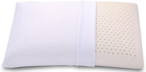 Syntry 100% Natural Latex Foam Pillow With Pillowcase, Ventilated, Low Profile, Standard Size 6 inches Thick
