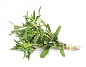 Organic Thyme Leaf - Thymus vulgaris Dried Loose Leaf by Nature Tea (04 oz) - Thumbnail 2