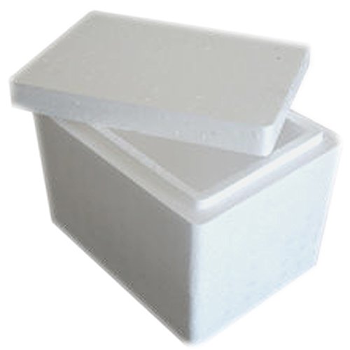 Buy Thermocol Box for Picnic 20 Liters Online at Low Prices in India