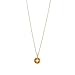 BPNHNA Clavicle Necklace with Blessing Gift Card,Small Dainty Gold Compass Pendant Chain, Classy Costume Choker Jewelry Favors