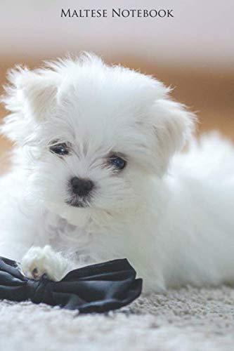 Maltese Notebook: Portable lined Maltese - Travel Journal to write in - 120 pages - 6"x9"