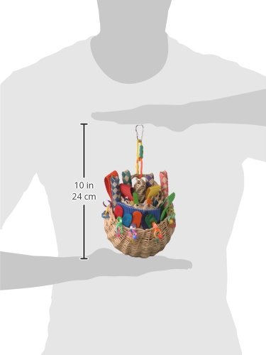 Super Bird Creations 10 by 5-Inch Foraging Basket Bird Toy, Medium