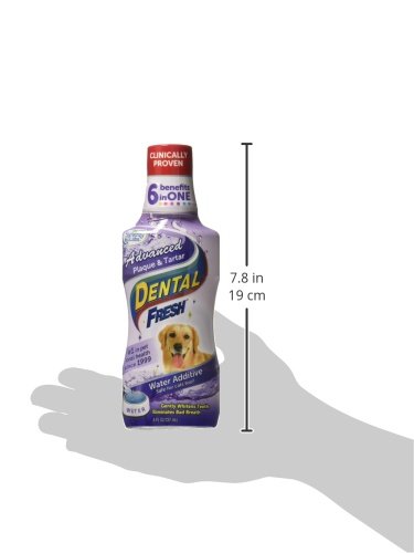 Dental Fresh Advanced Plaque & Tartar Dental Care, 8 oz - Thumbnail 3