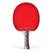 DHS Table Tennis Racket 4002, Ping Pong Paddle, Table Tennis Racquets - Shakehand with LANDSON Rubber Protector