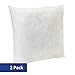 Amazon Basics Pillow Insert - 18-Inch Square, 2-Pack