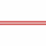 Teacher Created Resources 5489 Red and White Stripes Straight Border Trim