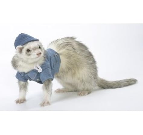 ferret clothes amazon