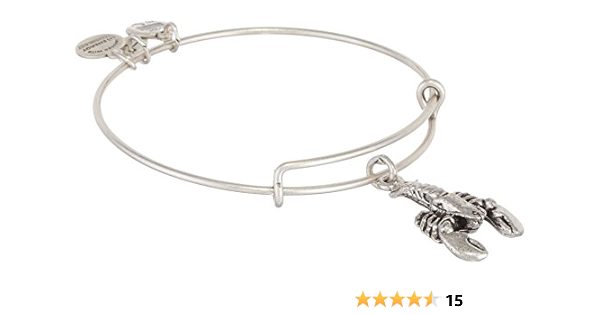 Alex And Ani Lobster Charm Rafaelian Silver Bangle Bracelet A11eb109rs Jewelry Amazon Com