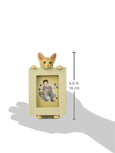 E&S Pets 35316-8 Small Cat Frames