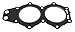 Sierra International 18-3802 Marine Head Gasket for Johnson/Evinrude Outboard Motor primary