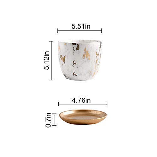 Yosun01 Marble Plant Pot, 5.5 inch Modern Nordic Style Ceramic Marble