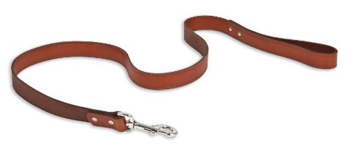 PetmateRuff Maxx 10834 Leather Dog Leash, 24-Inch, Brown