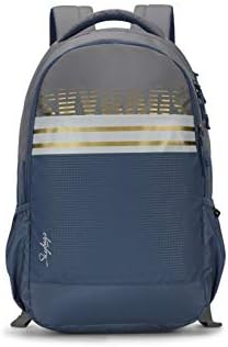 Skybags Herios 02 27 Ltrs Grey Laptop 
