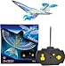 E-Bird Pigeon Remote Control Bird R/C