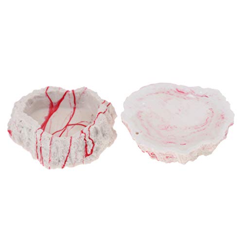 image for D DOLITY 2x Resin Amphibians Reptile Feeding Rock Bowl Water Drinking 