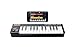 Akai Professional LPK25 Wireless | Bluetooth-Enabled 25-Key Velocity Sensitive Mini MIDI Keyboard for Production and Performance, Suitable for iOS, Mac and PC Applications