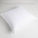 Throw Pillow Insert 18x18 inch - Hypoallergenic Foam Stuffer - Standard Decorative Square / Sequin Couch Pillow Inserts for Indoor and Outdoor, White 1 Pack