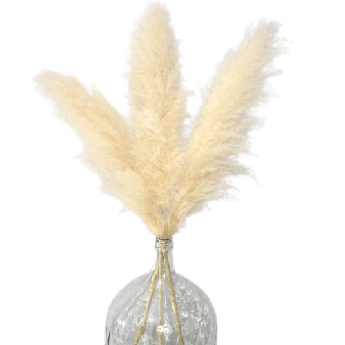 Feathers for Vase 3 46" Large Pampas Grass Decor Tall Dried Pampas