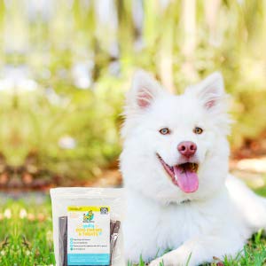 hotspot pets 6 Inch Beef Gullet Sticks for Dogs (10 Pack) | All Natural Esophagus Dog Chew Snacks | Hollow Jerky Treats Made from Grass Fed Cattle | Fantastic Alternative for Rawhide and Bully Sticks