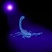 Hinmay UV Blacklight Flashlight, Super Bright 100 LED # 1 Best Powerful Black Light Flashlight 395NM Ultraviolet Urine Detector Flashlight for Home & Hotel Inspection, Pet Urine & Stain Detection