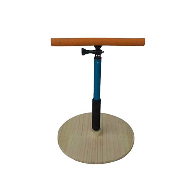 outdoor bird perch stand