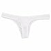 FEESHOW Mens Lingerie Silky Long Sheath Thong Bikinis Briefs Elephant Nose Pouch T-back Underwear White Large (waistline:27.5-43.0
