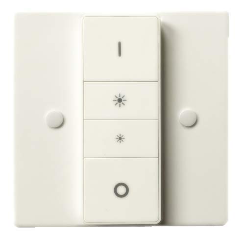 White Switch Cover Plate For The Philips Buy Online In Botswana At Desertcart