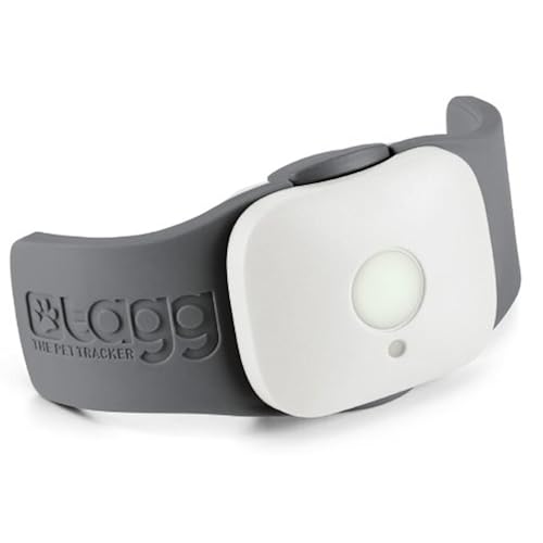 cool weird random gifts on amazon related to Pet Supplies get list of amazon products that are Top Selection from AmazonPets, smart gadgets