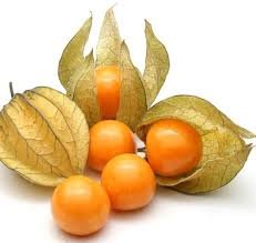 Airex Alkekengi Cape Gooseberry Summer Fruit Seed (Pack Of 15)
