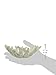 Abbott Collection Coral Bowl, White (Small)