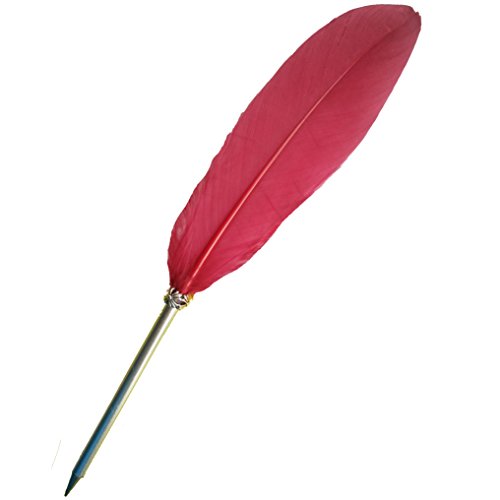 Awesome black ink feather quill ballpoint pen | garnet