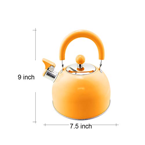 Riwendell 2.7 Quart Whistling Candy ColorTea Kettle Stainless Steel StoveTop Teapot (GS-04011FY-Orange)