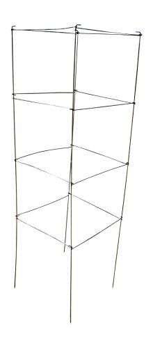 Galvanized Square Folding Tomato Cage Plant Support Trellis Tower 12 inch by 42 inch, Pack of 10 (10, Galvanized)