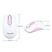 2.4G Wireless Mouse Noiseless Portable Mobile Optical Mice with Nano USB Receiver, 3 Buttons,1600 DPI for Notebook PC Laptop Computer Macbook – mouse