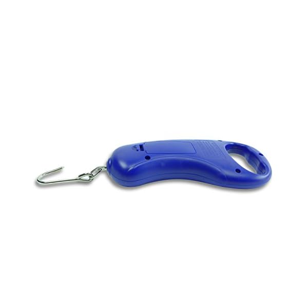 Home-Lake-Digital-Fish-Scale-by-Polychrome-Gear-99lb45kg-Mountain-Lake-Blue