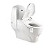 Toilet Night Light, Colorful Smart Motion Activated Sensor LED Toilet Bowl Light with 8 Color Changing