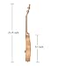 VIVICTORY Soprano Ukulele 21 Inch Mahogany Aquila String With Beginner Kit : Tuner, Gig Bag, Straps and Picks - Natural Color