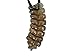 Real Rattlesnake Rattle and Leather Keychain